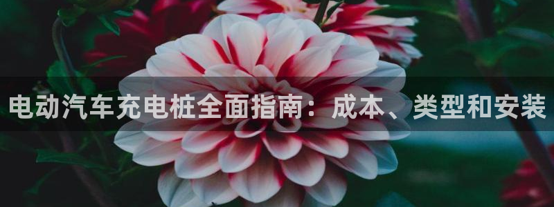 威廉指标是哪个：电动汽车充电桩全面指南：成本、类型和安装