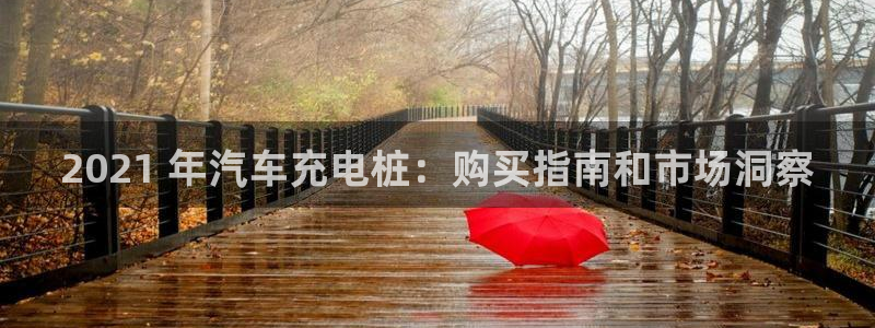 威廉希尔的特点：2021 年汽车充电桩：购买指南和市场洞察