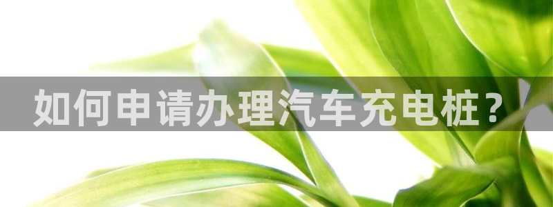 威廉希尔it：如何申请办理汽车充电桩？