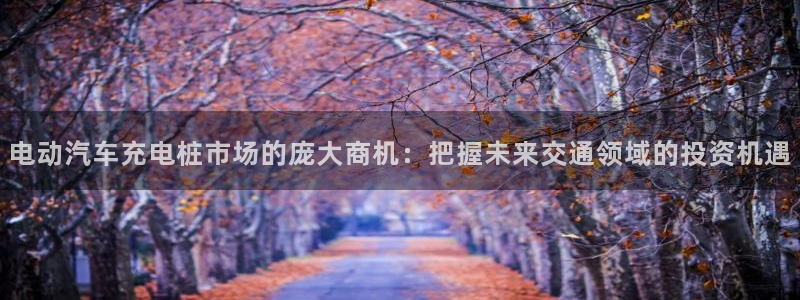 威廉希尔官网软件：电动汽车充电桩市场的庞大商机：把握未来交通领域的投资机遇