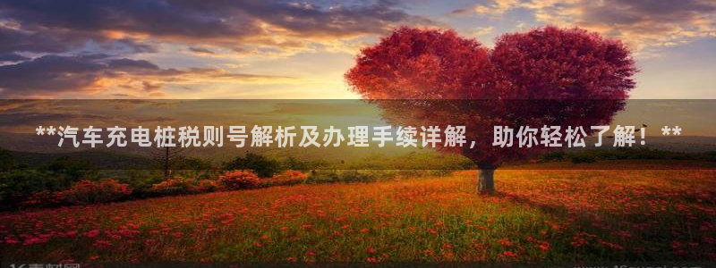 威廉希尔不开盘的比赛：**汽车充电桩税则号解析及办理手续详解，助你轻松了解！**