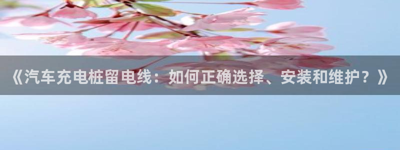 威廉希尔对比立博：《汽车充电桩留电线：如何正确选择、安装和维护？》