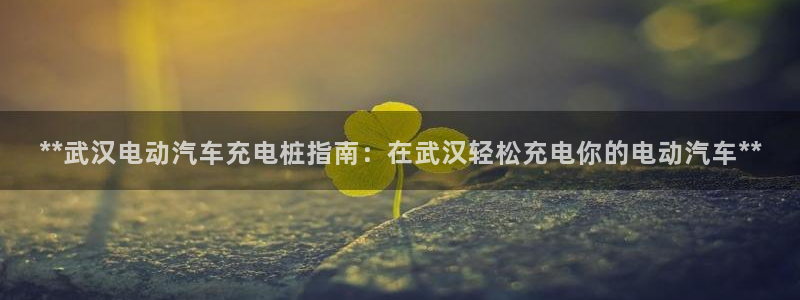 意甲威廉希尔初盘1.67 3.9 4.5：**武汉电动汽车充电桩指南：在武汉轻松充电你的电动汽车**