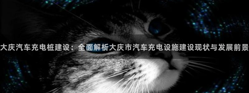 威廉希尔如何分析：大庆汽车充电桩建设：全面解析大庆市汽车充电设施建设现状与发展前景