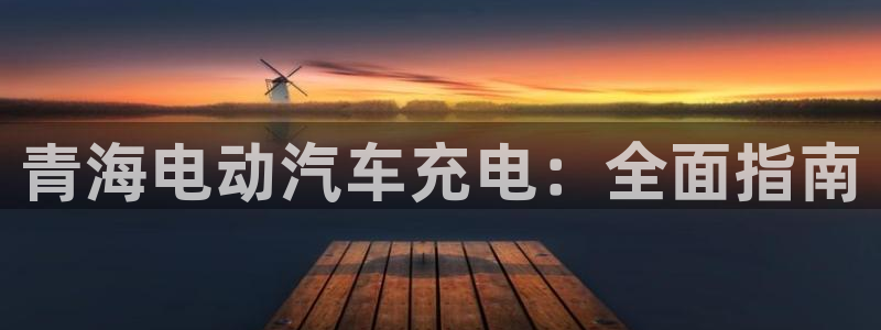 威廉国际学校：青海电动汽车充电：全面指南