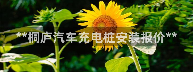 威廉希尔interwetten指数：**桐庐汽车充电桩安装报价**
