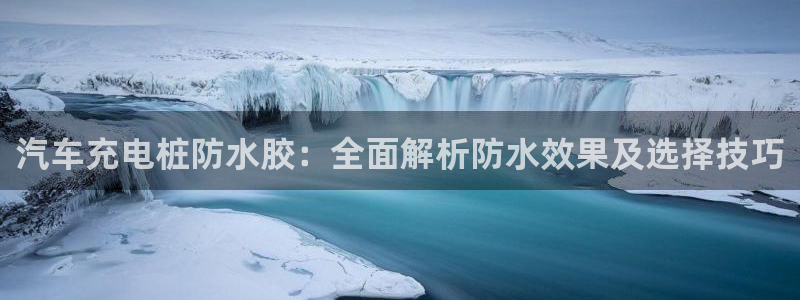威廉网址：汽车充电桩防水胶：全面解析防水效果及选择技巧