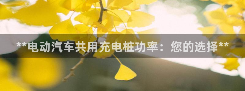 威廉官方旗舰店：**电动汽车共用充电桩功率：您的选择**