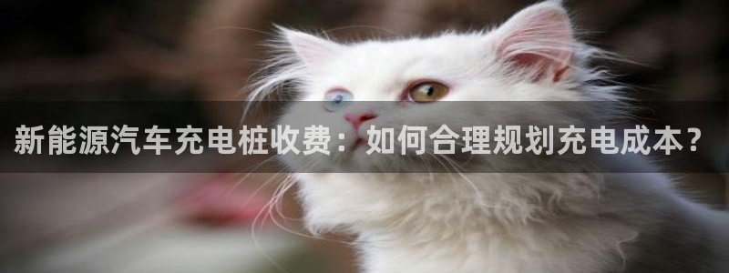 威廉官方旗舰店：新能源汽车充电桩收费：如何合理规划充电成本？