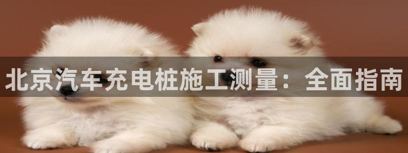 威廉希尔分析和结论：北京汽车充电桩施工测量：全面指南