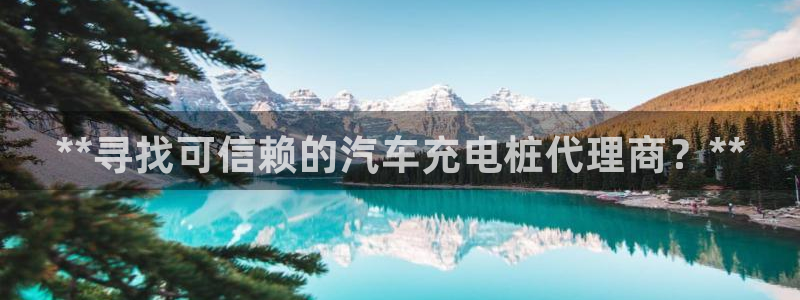威廉希尔 1.44 3.70 7.50：**寻找可信赖的汽车充电桩代理商？**