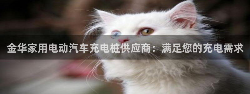 威廉希尔俱乐部：金华家用电动汽车充电桩供应商：满足您的充电需求