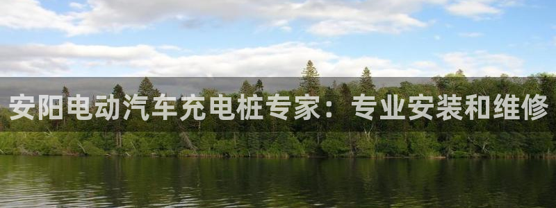 威廉希尔可以在国内用吗：安阳电动汽车充电桩专家：专业安装和维修
