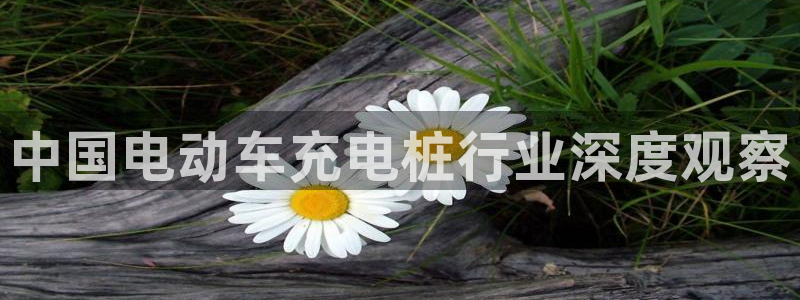 威廉希尔皇冠分析方法：中国电动车充电桩行业深度观察