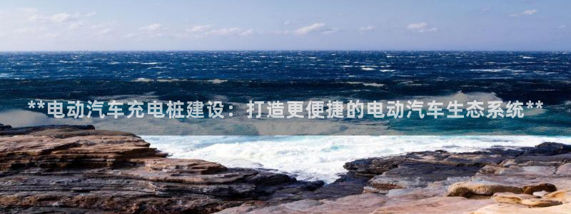 威廉希尔标准框架：**电动汽车充电桩建设：打造更便捷的电动汽车生态系统**