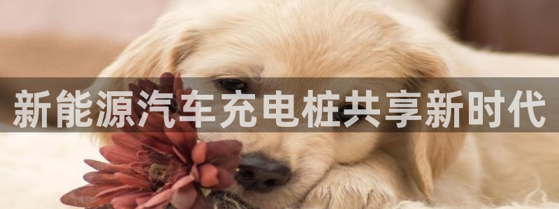 威廉体育官方app下载安卓版：新能源汽车充电桩共享新时代