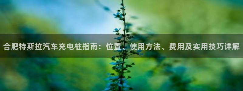威廉希尔平台玩不给出款的问题：合肥特斯拉汽车充电桩指南：位置、使用方法、费用及实用技巧详解