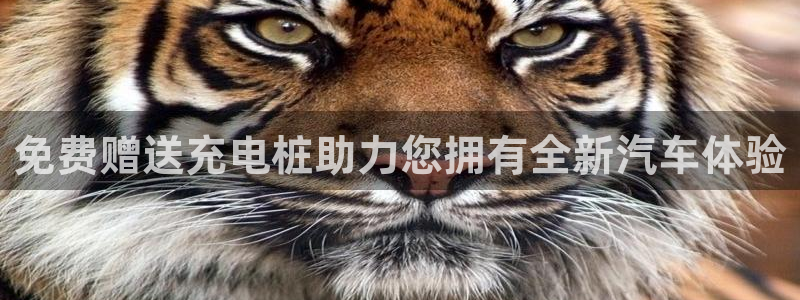 威廉希尔和立博三个指数完全一样：免费赠送充电桩助力您拥有全新汽车体验