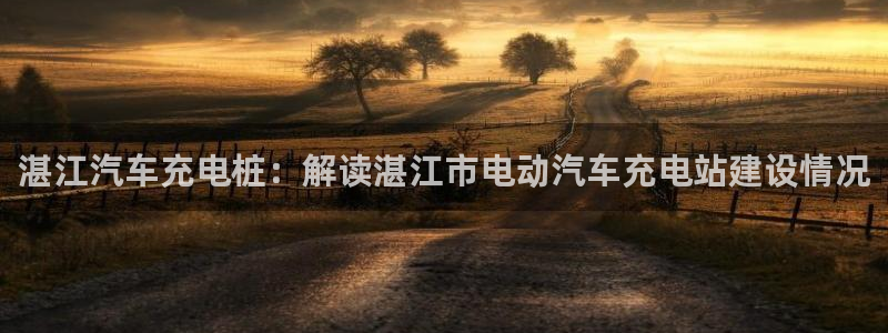 威廉希尔1.33 5 9,让球:球半：湛江汽车充电桩：解读湛江市电动汽车充电站建设情况