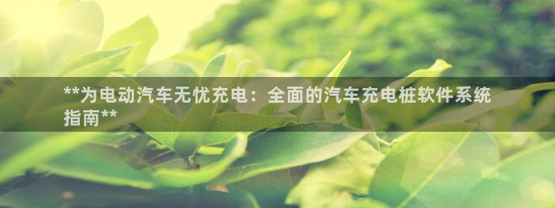 威廉希尔操盘手法总结：**为电动汽车无忧充电：全面的汽车充电桩软件系统
指南**