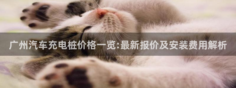 威廉希尔官网地址：广州汽车充电桩价格一览:最新报价及安装费用解析