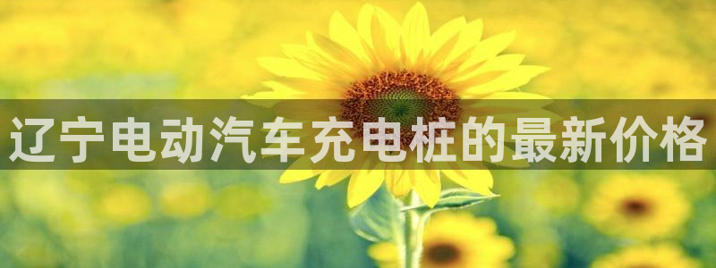 威廉希尔必发欧赔：辽宁电动汽车充电桩的最新价格
