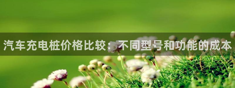 威廉希尔和inter：汽车充电桩价格比较