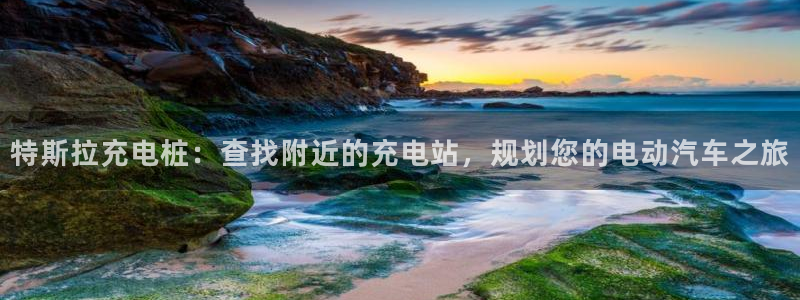 威廉国际骗局：特斯拉充电桩：查找附近的充电站，规划您的电动汽车之旅