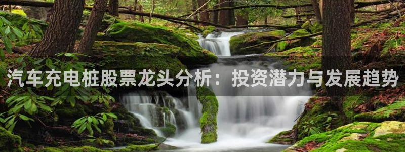 威廉希尔提现：汽车充电桩股票龙头分析：投资潜力与发展趋势