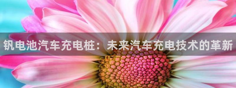 威廉官网：钒电池汽车充电桩：未来汽车充电技术的革新