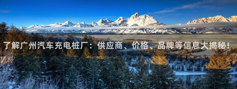 意甲的威廉希尔：了解广州汽车充电桩厂：供