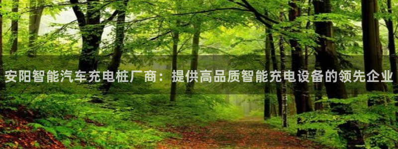 威廉希尔年利润：安阳智能汽车充电桩厂商：提供高品质智能充电设备的领先企业