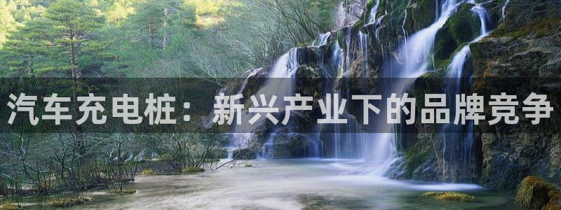 威廉希尔 1.33 4.40 6.00：汽车充电桩：新兴产业下的品牌竞争