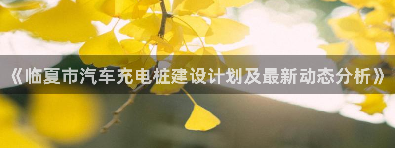 威廉希尔没有返水嘛：《临夏市汽车充电桩建设计划及最新动态分析》