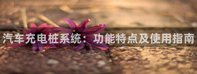 威廉希尔立博对比必学会：汽车充电桩系统：功能特点及使用指南