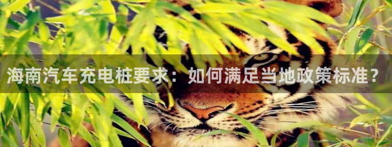 威廉希尔和365开盘特点：海南汽车充电桩要求：如何满足当地政策标准？