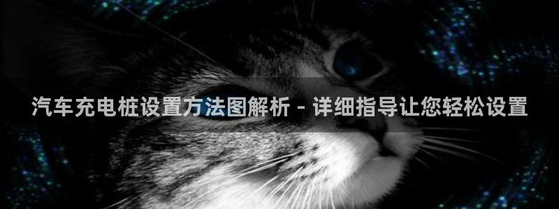 威廉希尔官网手机客户端：汽车充电桩设置方法图解析 - 详细指导让您轻松设置