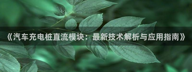 威廉希尓指数：《汽车充电桩直流模块：最新技术解析与应用指南》