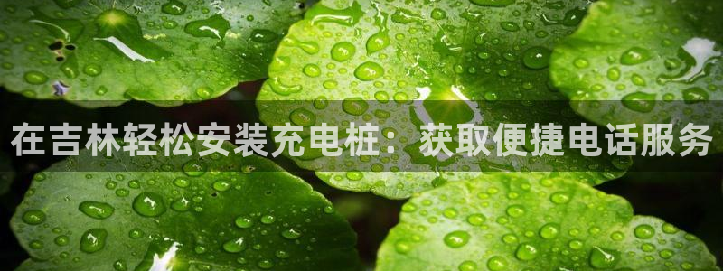 威廉希尔百度百科：在吉林轻松安装充电桩：获取便捷电话服务
