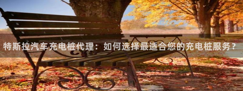 威廉希尔足球网：特斯拉汽车充电桩代理：如何选择最适合您的充电桩服务？