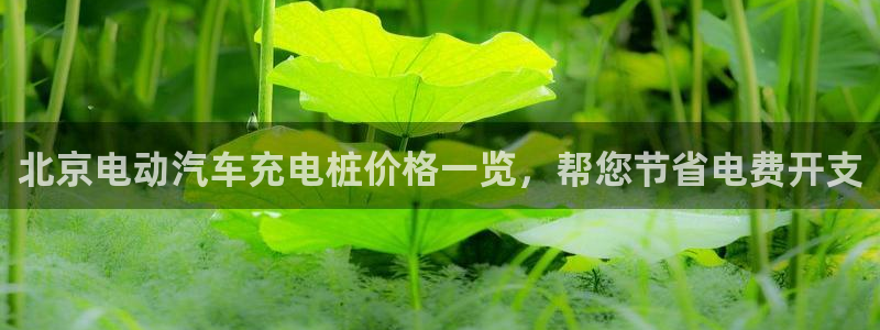 威廉指标0-20：北京电动汽车充电桩价格