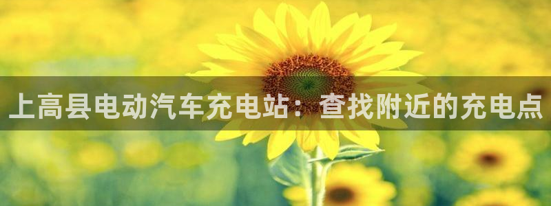 威廉希尔144初赔：上高县电动汽车充电站