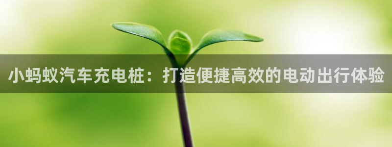 意甲威廉希尔初赔：小蚂蚁汽车充电桩：打造