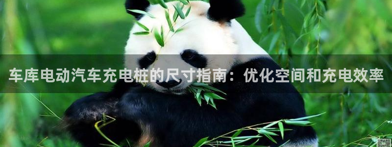 威廉希尔500欧洲指数：车库电动汽车充电
