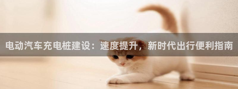 威廉的网址：电动汽车充电桩建设：速度提升