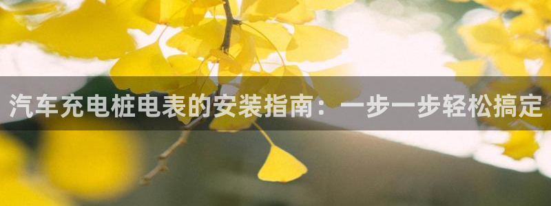 威廉看球：汽车充电桩电表的安装指南：一步一步轻松搞定