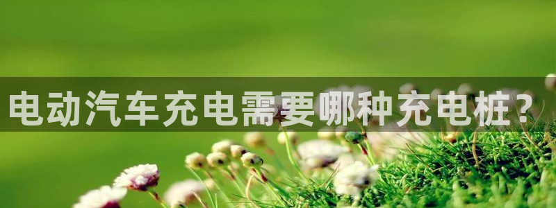 威廉希尔1.36数据：电动汽车充电需要哪