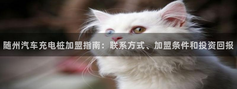 威廉国际校服经典：随州汽车充电桩加盟指南：联系方式、加盟条件和投资回报