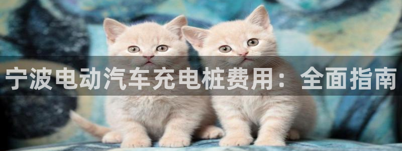 足球威廉希尔初盘还是变盘了：宁波电动汽车充电桩费用：全面指南