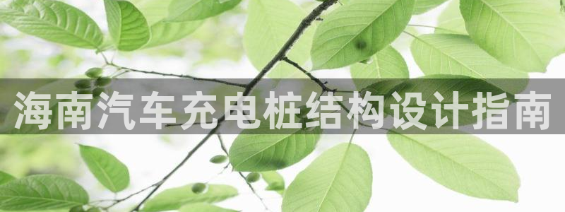 威廉希尔欧赔变盘特点：海南汽车充电桩结构设计指南